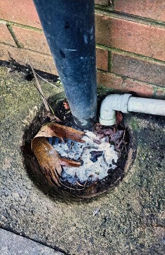 https://plumberalexanderheights.com.au/uploads/2025/06/blocked-drains-294506.jpg